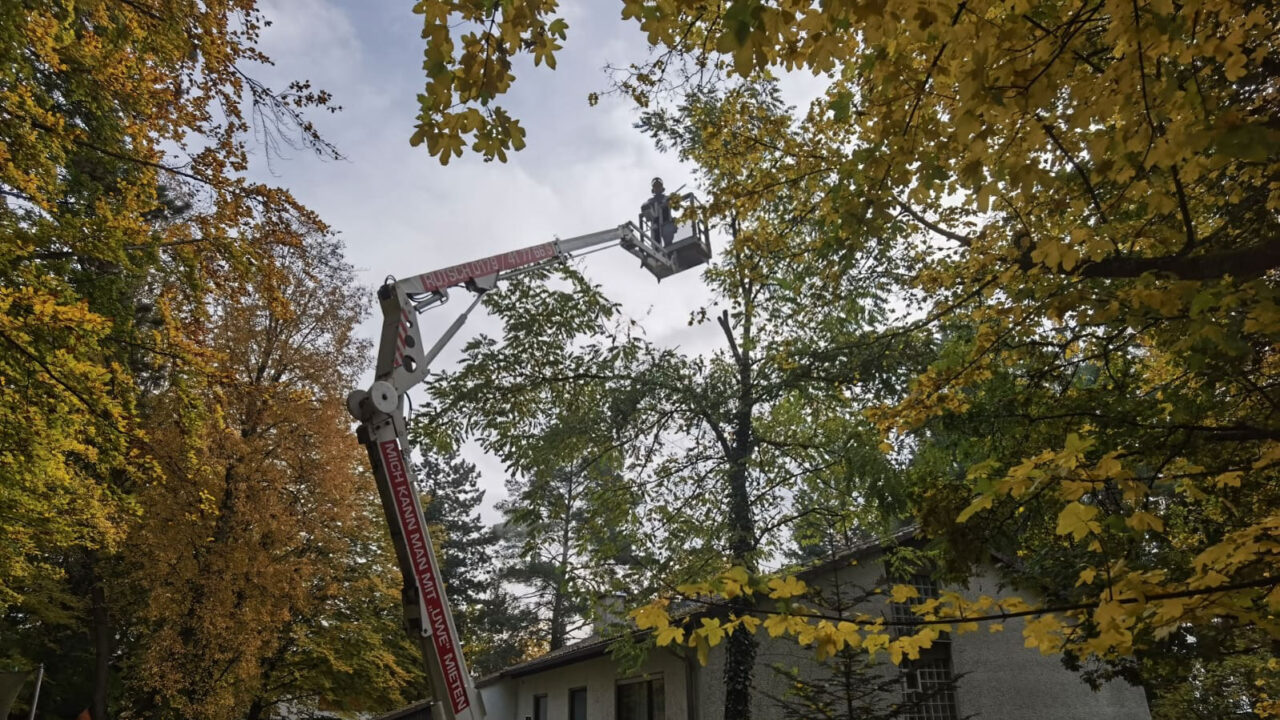 Leistungen RUTSCH Garten und Hausservice